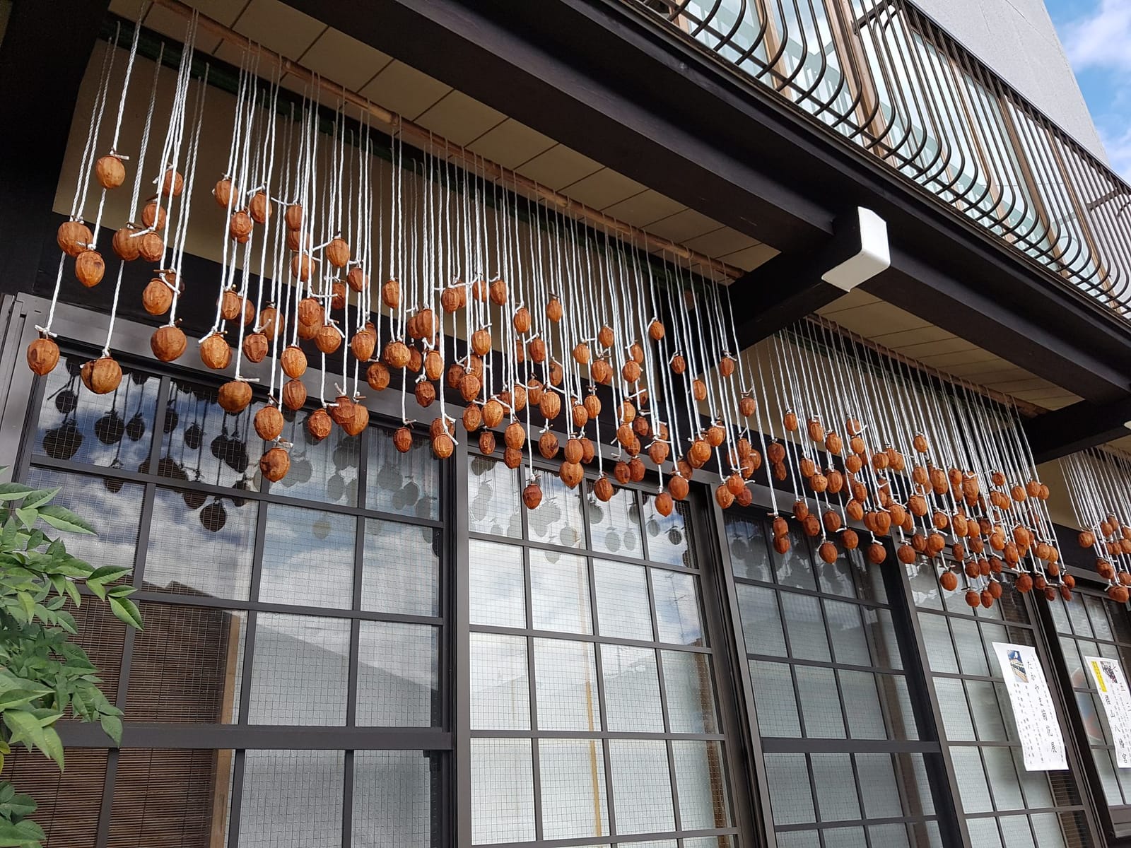 Takayama old town