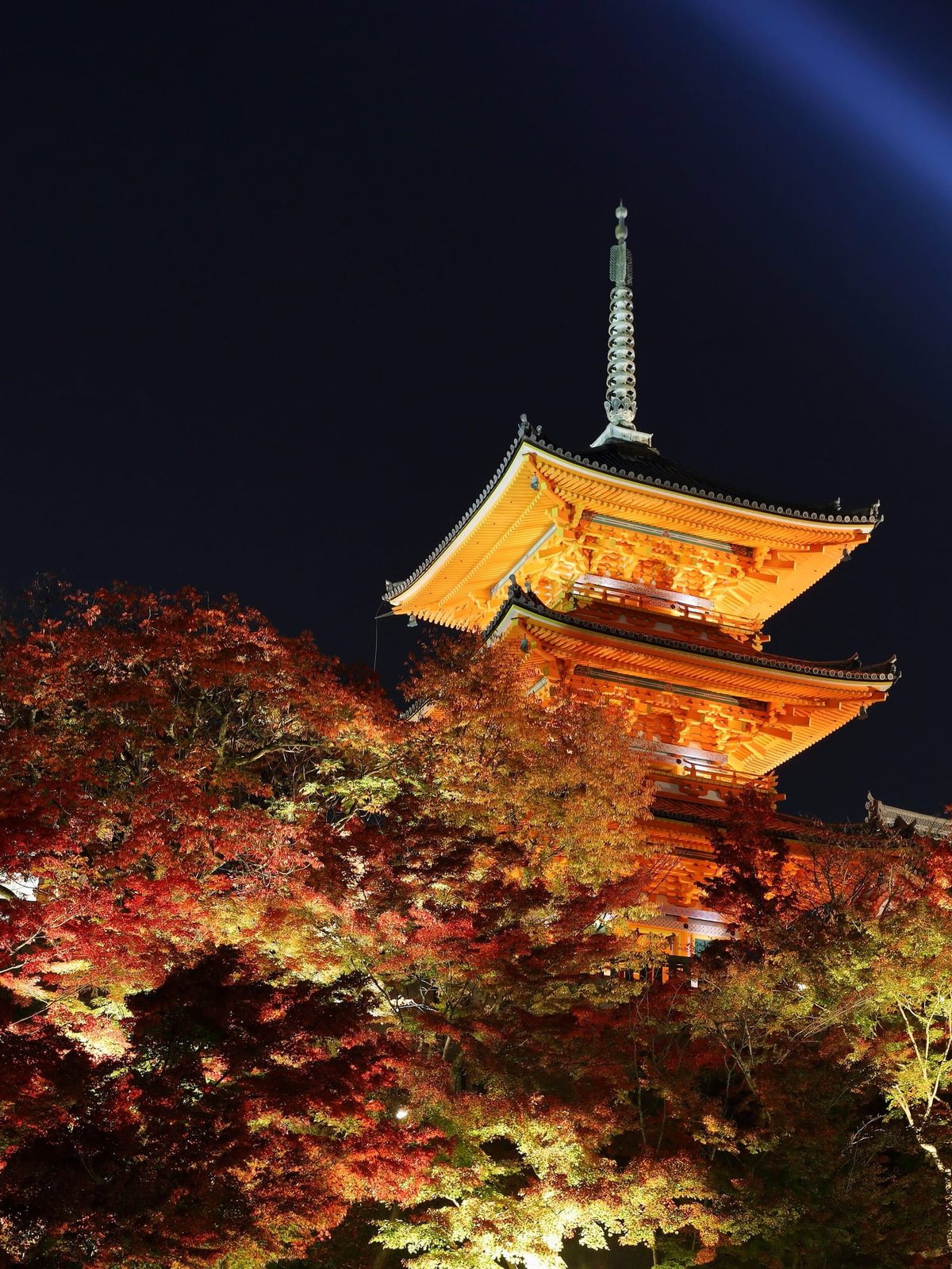 Autumn leaves temple Kyoto
