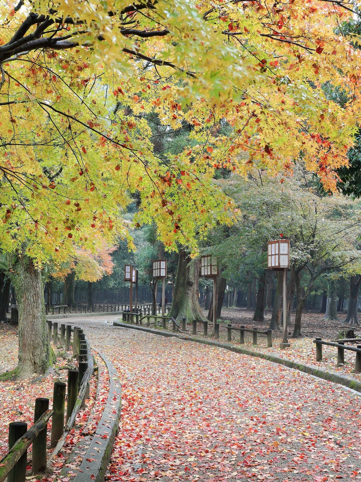 Parque de Nara