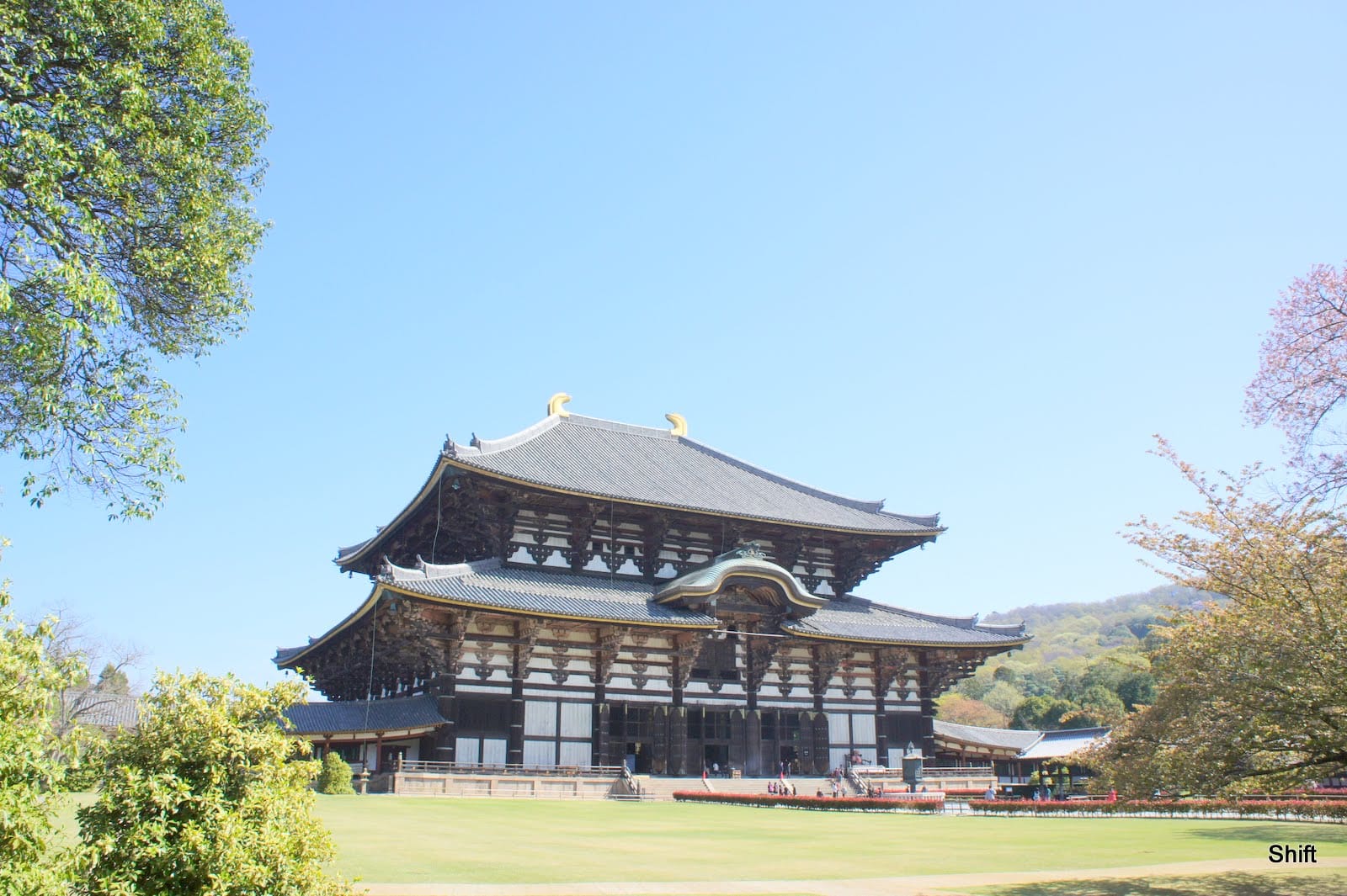 Ciervo en Tōdai-ji