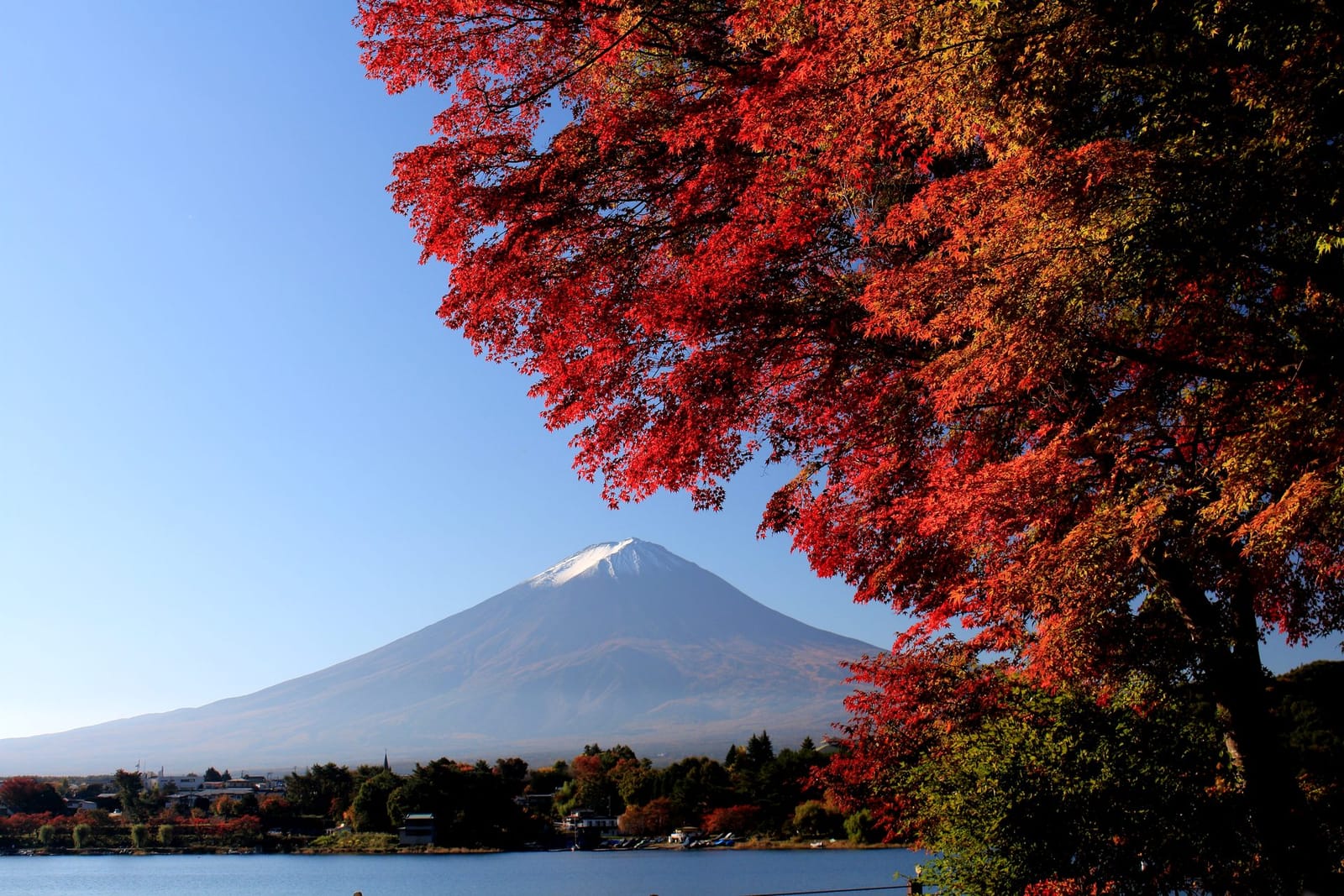 Mount Fuji autumn leaves lake