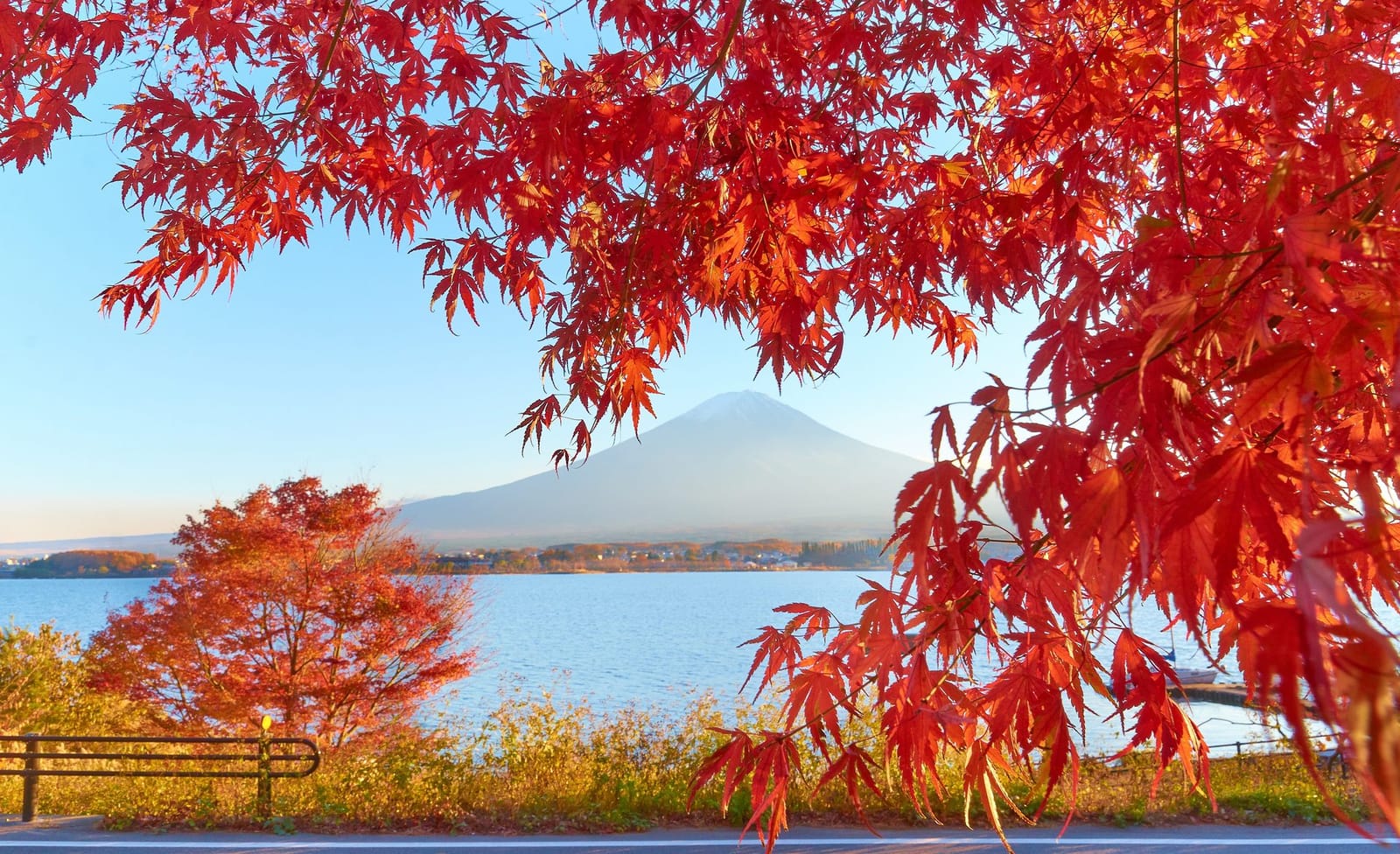 Mount Fuji autumn leaves lake