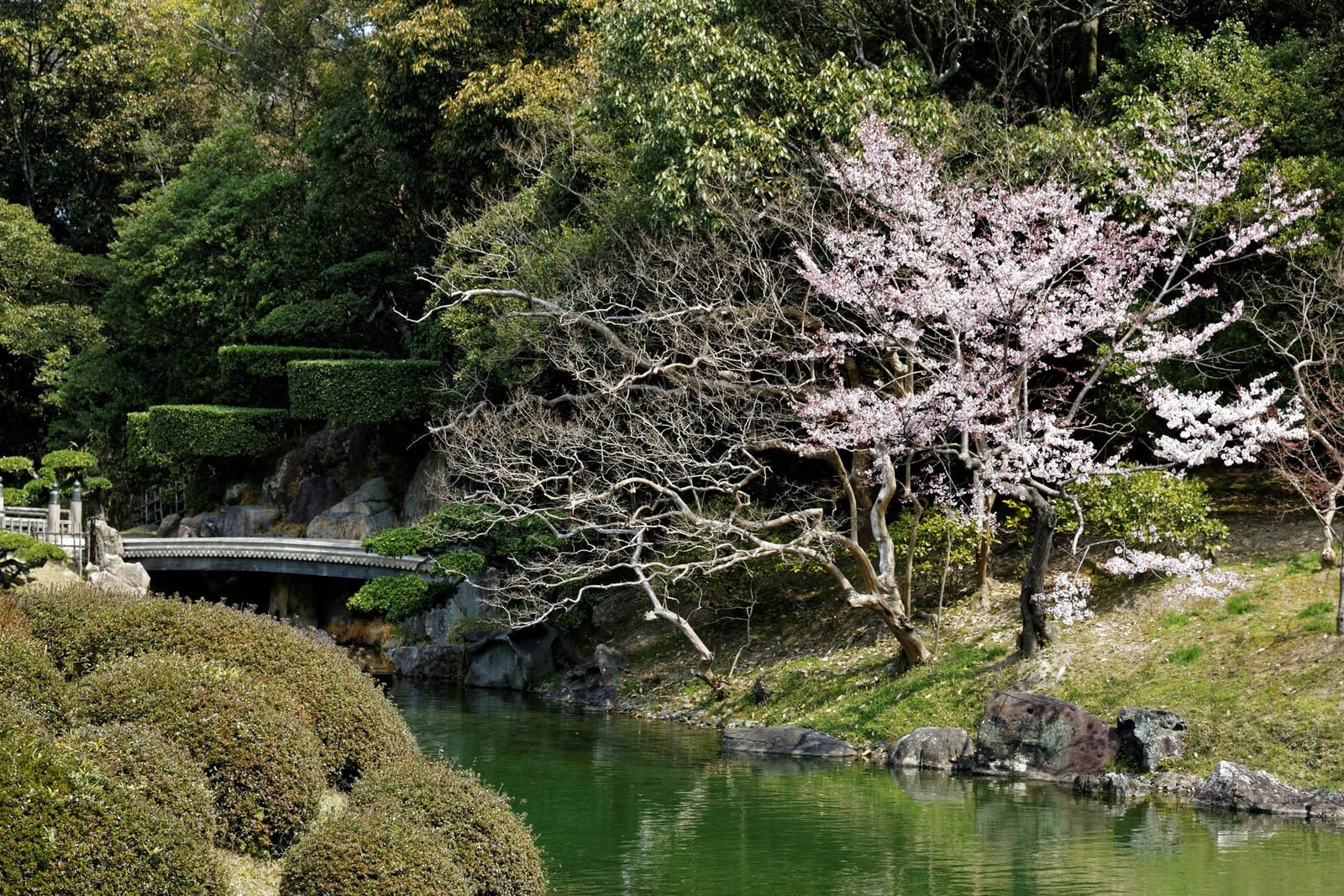 Ritsurin Garden Takamatsu
