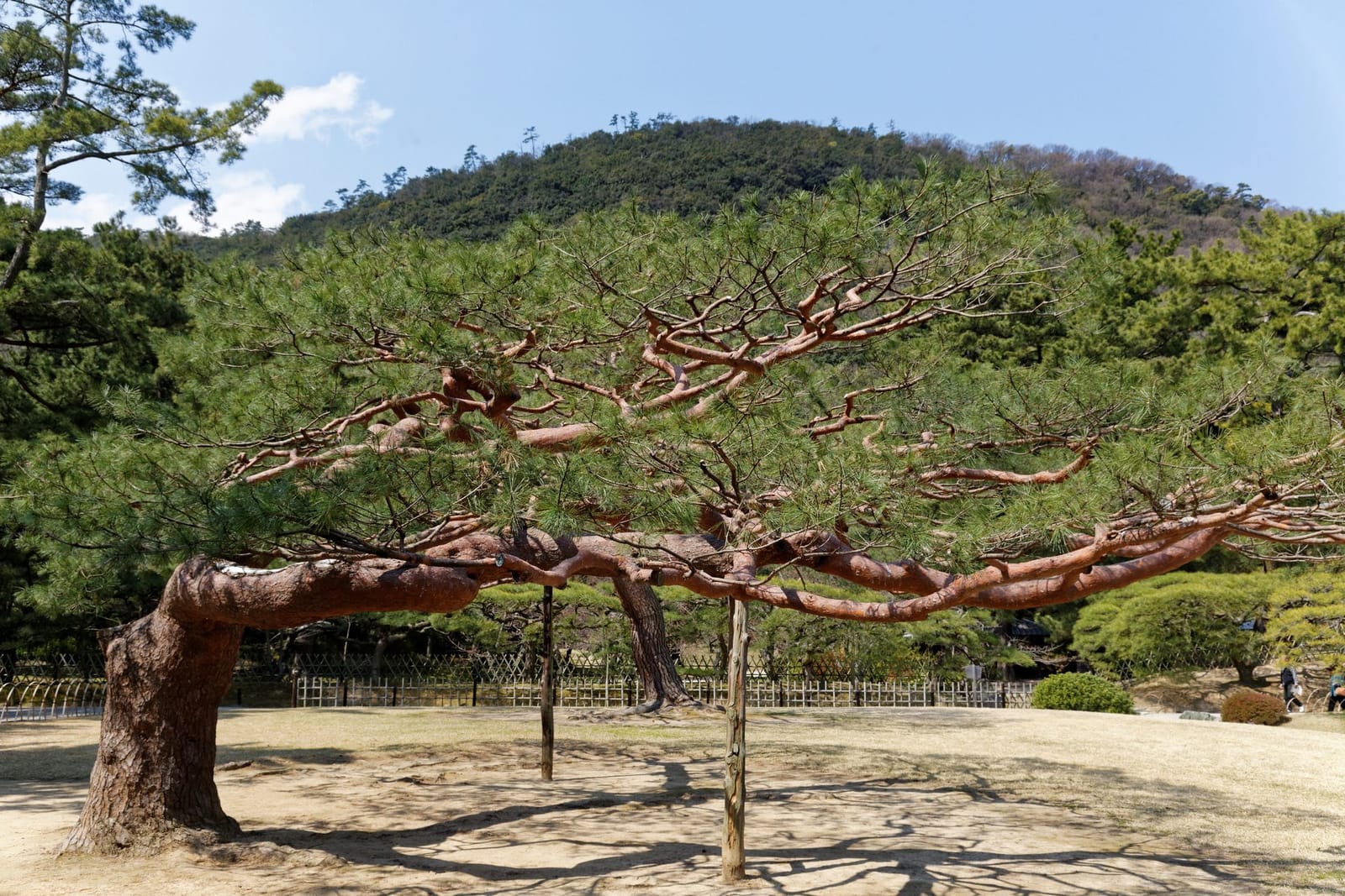 Ritsurin Garden Takamatsu