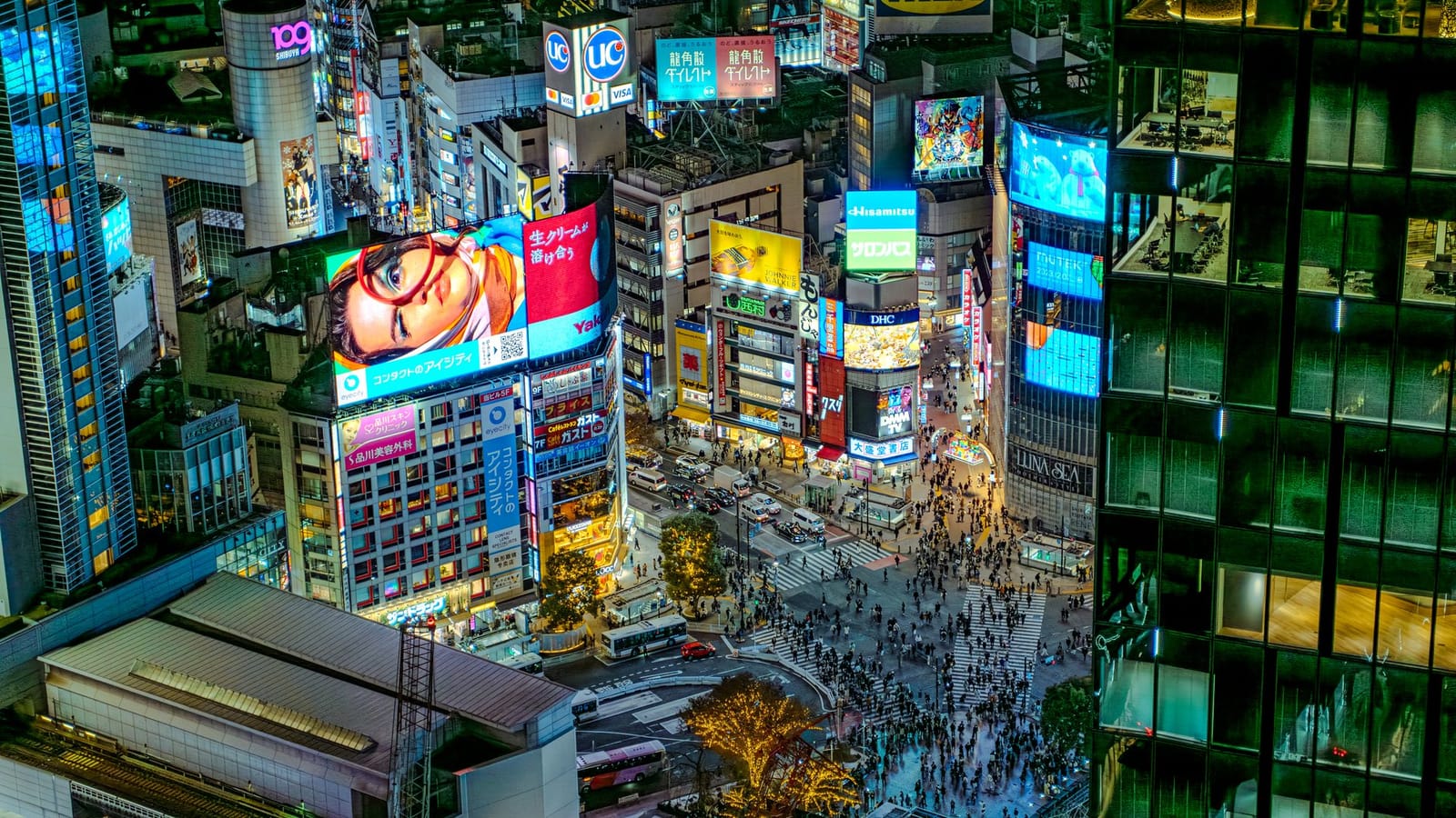 Shibuya crossing night