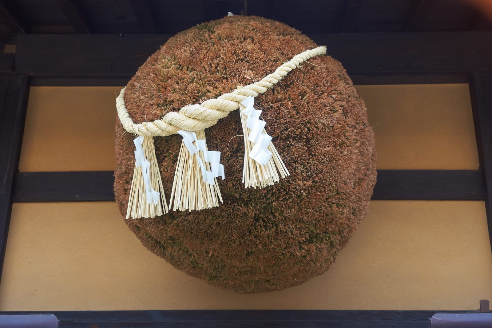 Sake brewery cedar ball