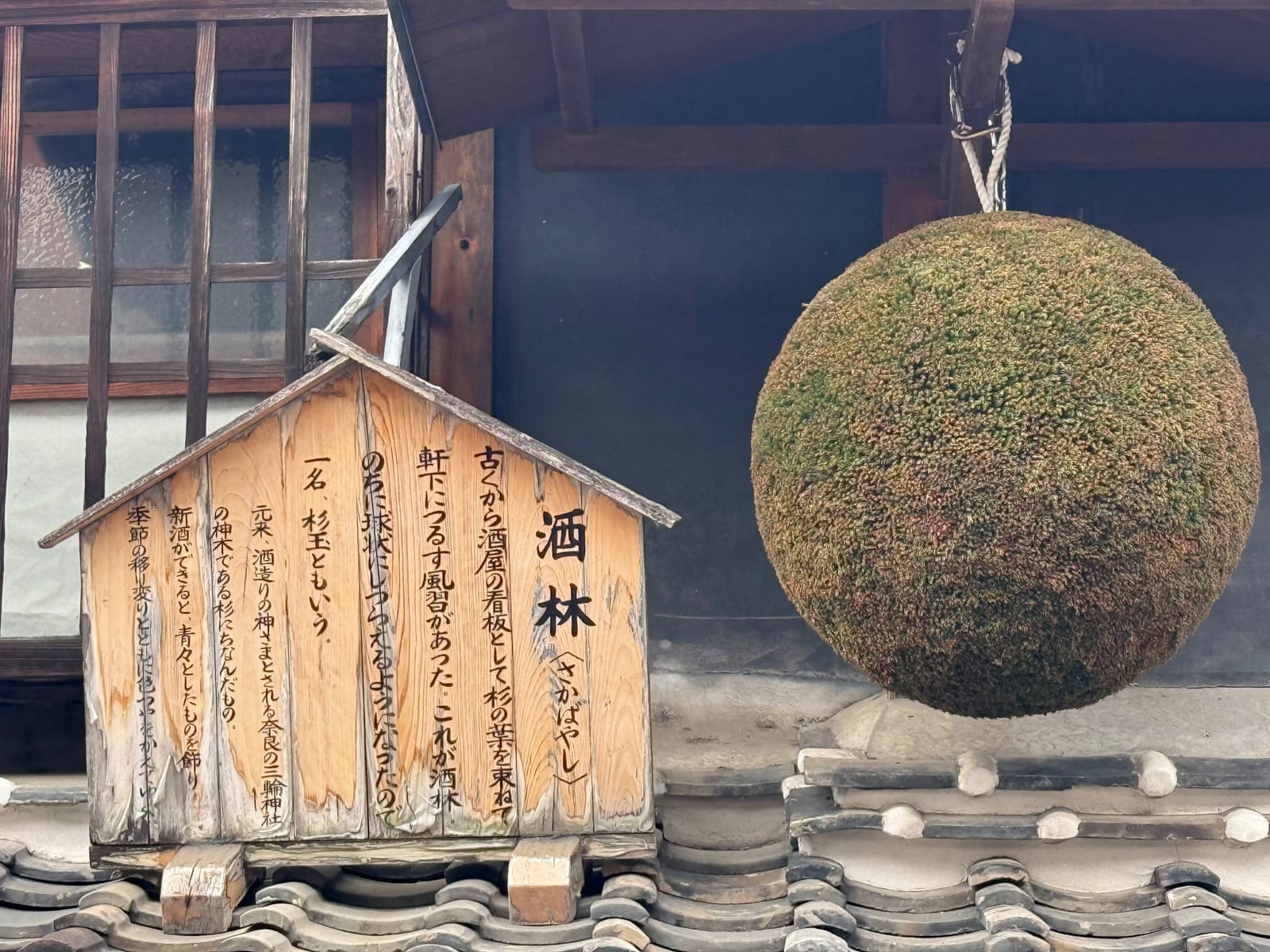 Sake brewery cedar ball