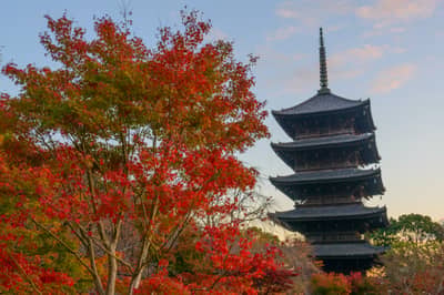 Okochi Bus – Derniers feuillages d’automne à Kyoto