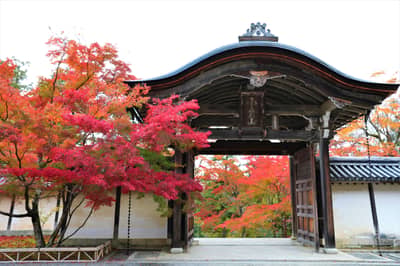 Okoshi Bus Kyoto Autumn Leaves Tour — 5
