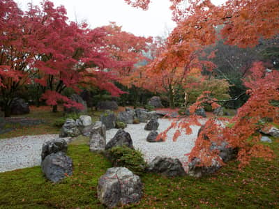 Okoshi Bus: Kyoto Imperial Palace and Panoramic Views — 2