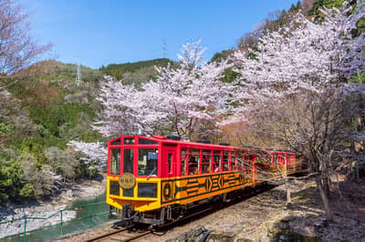 京都觀光“OKOSHI”巴士（SW）嵐山深度遊・嵯峨野觀光小火車+保津川遊船之旅★含中・英・韓語音導覽★ 1人成行 — 4