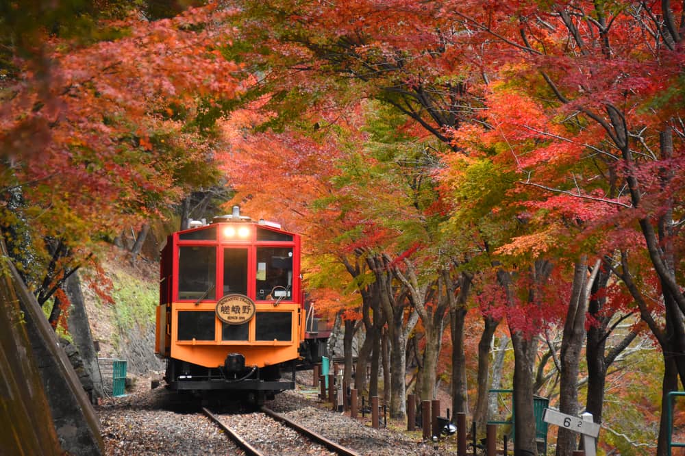 KYOTO Sightseeing “OKOSHI” Bus（SW）Sagano Romantic Train and Hozugawa River Boat Ride★With English・Chinese・Korean audio guide★(1-person Guaranteed)