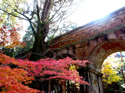 Okoshi Bus – Circuit des érables de Kyoto