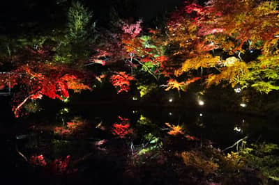 Érables d’automne illuminés à Kyoto : temple de Nene et Unryuin — 3