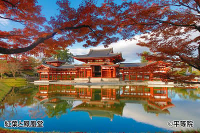 Kyoto Autumn Foliage Tour: Komyo-ji, Ikkyu-ji & Byodo-in