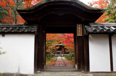 Kyoto Autumn Foliage Tour Komyo Ji Ikkyu Ji — 3