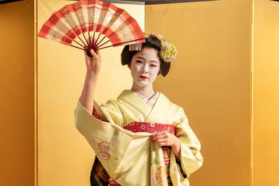 Kyoto OKOSHI Sightseeing Bus (GW): Dinner with a Maiko + Shozan Garden Night View Tour