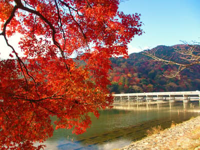 KYOTO Sightseeing „OKOSHI“-Bus（BF）Kyoto-Highlights-Tour (Tenryu-ji-Tempel, Arashiyama, Kinkaku-ji-Tempel, Fushimi Inari Taisha-Schrein)★Mit Audioguide auf Englisch・Chinesisch・Koreanisch★(Garantiert ab 1 Person) — 4