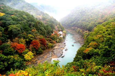 KYOTO Sightseeing „OKOSHI“-Bus（BF）Kyoto-Highlights-Tour (Tenryu-ji-Tempel, Arashiyama, Kinkaku-ji-Tempel, Fushimi Inari Taisha-Schrein)★Mit Audioguide auf Englisch・Chinesisch・Koreanisch★(Garantiert ab 1 Person) — 6