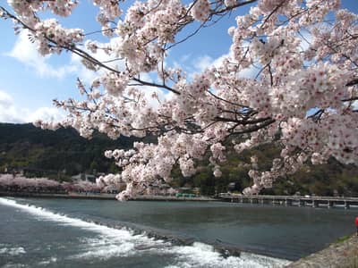 KYOTO Sightseeing „OKOSHI“-Bus（BF）Kyoto-Highlights-Tour (Tenryu-ji-Tempel, Arashiyama, Kinkaku-ji-Tempel, Fushimi Inari Taisha-Schrein)★Mit Audioguide auf Englisch・Chinesisch・Koreanisch★(Garantiert ab 1 Person) — 2