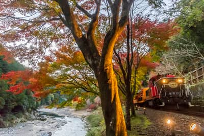 Okoshi Bus - Train romantique Sagano et illuminations — 4