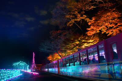 Okoshi Bus - Train romantique Sagano et illuminations — 2