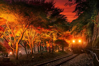 Okoshi Bus - Train romantique Sagano et illuminations — 3