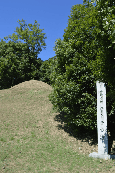 English guided sightseeing bus "Asuka Discovery Tour" — 8