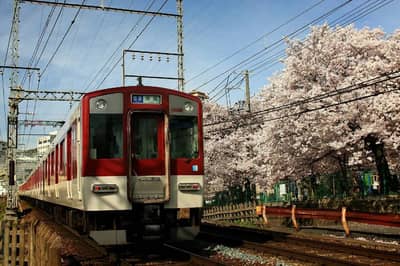 KINTETSU RAIL PASS — 7