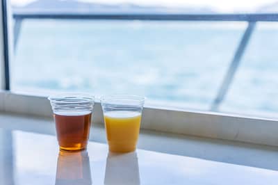 Croisière gastronomique de Kobe Concerto avec une boisson — 2