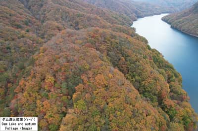 🚁Exclusive Autumn Views of Nikko from Above! Escape the Traffic for an Unforgettable Scenic Ride "Nikko Helicopter Sightseeing" 🍁 ~ Tour Price: 169,500 JPY - 362,000 JPY — 8