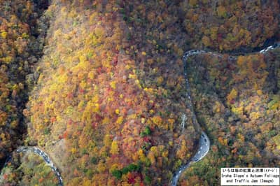 🚁Exclusive Autumn Views of Nikko from Above! Escape the Traffic for an Unforgettable Scenic Ride "Nikko Helicopter Sightseeing" 🍁 ~ Tour Price: 169,500 JPY - 362,000 JPY — 6