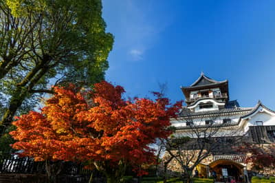 Au départ de Nagoya ! Billet pour le château d’Inuyama et le MUSEUM MEIJI-MURA (version ferroviaire aller simple) — 8