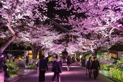 Yomiuriland After-Pass: Tokyo Amusement Park