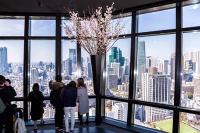 Biglietto Combinato - Biglietto di sola andata Skyliner + Biglietto della metropolitana di Tokyo e Biglietto d'ingresso al ponte principale della Tokyo Tower