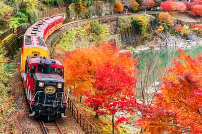 Ninna-ji: foliage e mare di nuvole illuminati + Sagano Romantic Train