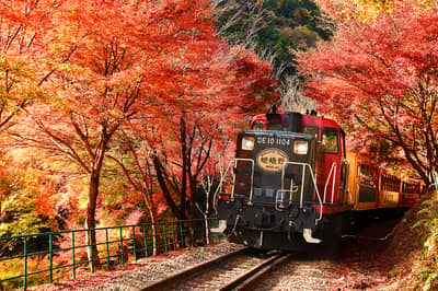Ninna-ji: foliage e mare di nuvole illuminati + Sagano Romantic Train — 2