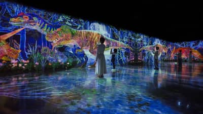teamLab Forest Fukuoka - SBI Securities Admission Ticket & Nishitetsu Bus Fukuoka City 1-Day Unlimited Ride Ticket