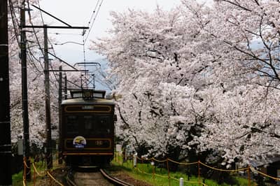 Randen 1-Day Pass + Toei Kyoto Studio Park Ticket — 11