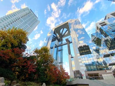 MIRACLE WORLD & Umeda Sky Building Observatory Combo Ticket