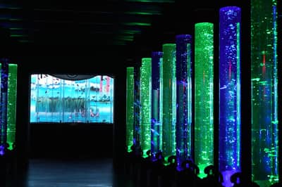 ตั๋วคอมโบ: ตั๋วเข้าชม Art Aquarium Museum GINZA & ตั๋วรถไฟใต้ดินโตเกียว 24 ชั่วโมง — 7