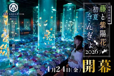 Vé Art Aquarium Ginza & Tokyo Subway 24-hour Ticket