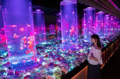 Vé Art Aquarium Ginza & Tokyo Subway 24-hour Ticket — 5