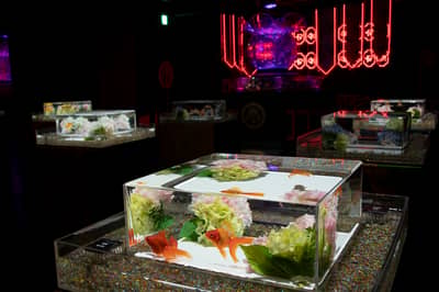 Vé Art Aquarium Ginza & Tokyo Subway 24-hour Ticket — 9