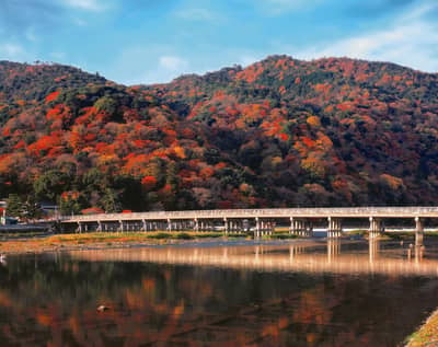 Kobe Urban Aquarium AQUARIUM×ART átoa Admission Ticket + Hankyu 1-Day Pass Set — 11
