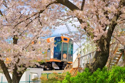 Hanshin 24-hour Pass & Gourmet Ticket (Hanshin Me-Gourmet Ticket) Bundle