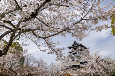 Departing from Nagoya! Inuyama Castle・Meiji Mura Combo Ticket (Round-Trip Railway Version) — 9
