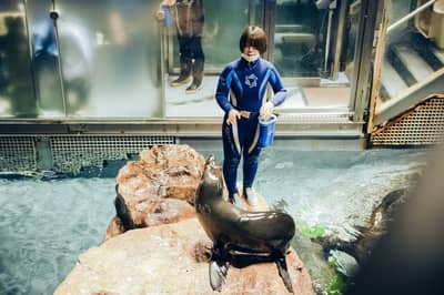 SKYTREE® Enjoy Pack・Vé Tokyo Skytree & Sumida Aquarium — 5