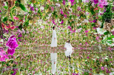 Tokyo Skytree Enjoy Pack: teamLab Planets TOKYO DMM Plan