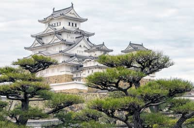 From Osaka: Himeji Castle, Kobe Chinatown & Nara Park Bus Day Tour (Lunch Not Included)